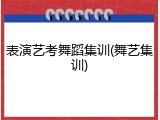 表演艺考舞蹈集训(舞艺集训)