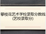 攀枝花艺术学校录取分数线(艺校录取分)