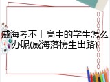 威海考不上高中的学生怎么办呢(威海落榜生出路)
