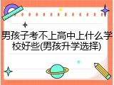 男孩子考不上高中上什么学校好些(男孩升学选择)