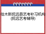 佳木斯抚远县艺考补习机构(抚远艺考辅导)