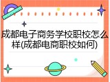 成都电子商务学校职校怎么样(成都电商职校如何)