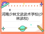 河南少林文武武术学校(少林武校)