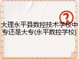 大理永平县数控技术学校中专还是大专(永平数控学校)