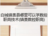 白城镇赉县哪里可以学数控职高技术(镇赉数控职高)