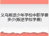义乌叛逆少年学校中职学费多少(叛逆学校学费)