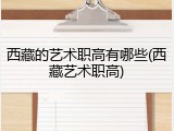西藏的艺术职高有哪些(西藏艺术职高)
