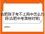 合肥孩子考不上高中怎么办呀(合肥中考落榜对策)