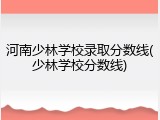 河南少林学校录取分数线(少林学校分数线)