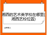 湘西的艺术类学校在哪里(湘西艺校位置)