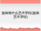 宜宾有什么艺术学校(宜宾艺术学校)
