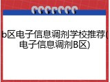 b区电子信息调剂学校推荐(电子信息调剂B区)