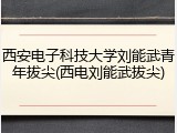 西安电子科技大学刘能武青年拔尖(西电刘能武拔尖)