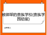 被绑架的贵族学校(贵族学园劫案)