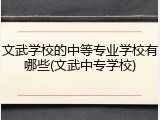文武学校的中等专业学校有哪些(文武中专学校)