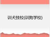 训犬技校(训狗学校)