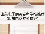 山东电子商务专科学校推荐(山东电商专科推荐)