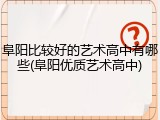 阜阳比较好的艺术高中有哪些(阜阳优质艺术高中)