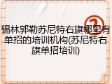 锡林郭勒苏尼特右旗哪里有单招的培训机构(苏尼特右旗单招培训)
