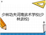 少林功夫河南武术学校(少林武校)