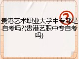 贵港艺术职业大学中专部是自考吗?(贵港艺职中专自考吗)