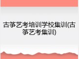 古筝艺考培训学校集训(古筝艺考集训)