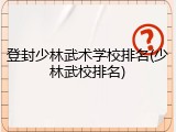 登封少林武术学校排名(少林武校排名)