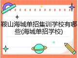 鞍山海城单招集训学校有哪些(海城单招学校)