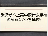 武汉考不上高中读什么学校最好(武汉中考择校)