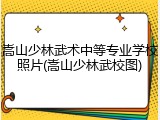 嵩山少林武术中等专业学校照片(嵩山少林武校图)