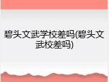 碧头文武学校差吗(碧头文武校差吗)