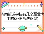 济南叛逆学校有几个职业高中的(济南叛逆职高)