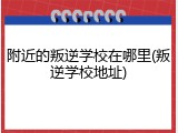 附近的叛逆学校在哪里(叛逆学校地址)
