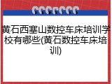 黄石西塞山数控车床培训学校有哪些(黄石数控车床培训)