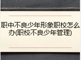 职中不良少年形象职校怎么办(职校不良少年管理)