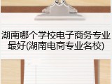 湖南哪个学校电子商务专业最好(湖南电商专业名校)