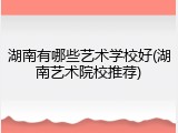 湖南有哪些艺术学校好(湖南艺术院校推荐)
