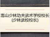 嵩山少林功夫武术学校校长(少林武校校长)