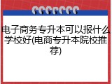 电子商务专升本可以报什么学校好(电商专升本院校推荐)