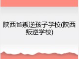 陕西省叛逆孩子学校(陕西叛逆学校)