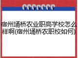 宿州埇桥农业职高学校怎么样啊(宿州埇桥农职校如何)