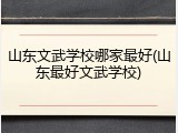 山东文武学校哪家最好(山东最好文武学校)