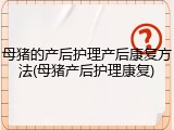 母猪的产后护理产后康复方法(母猪产后护理康复)