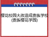 樱花校园大改造成贵族学校(贵族樱花学园)