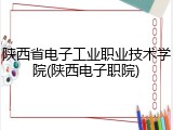 陕西省电子工业职业技术学院(陕西电子职院)