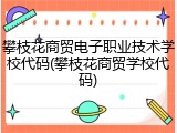 攀枝花商贸电子职业技术学校代码(攀枝花商贸学校代码)
