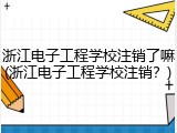 浙江电子工程学校注销了嘛(浙江电子工程学校注销？)