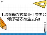 十堰茅箭农校毕业生去向如何(茅箭农校生去向)