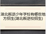 湖北叛逆少年学校有哪些地方招生(湖北叛逆校招生)