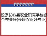 松原长岭县农业职高学校哪个专业好(长岭农职好专业)